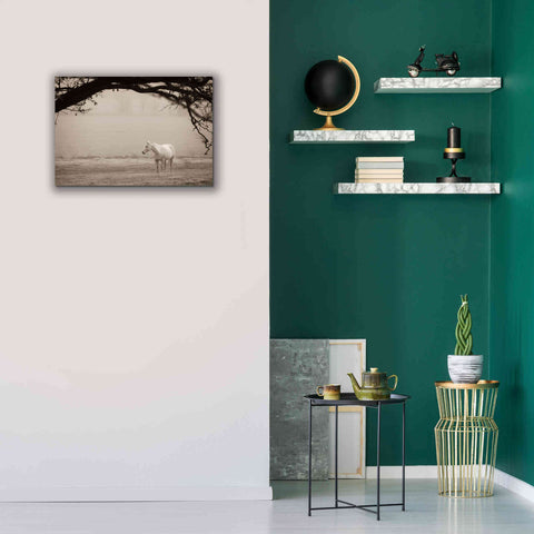 Image of 'Hazy Horse II' by Debra Van Swearingen, Canvas Wall Art,26 x 18