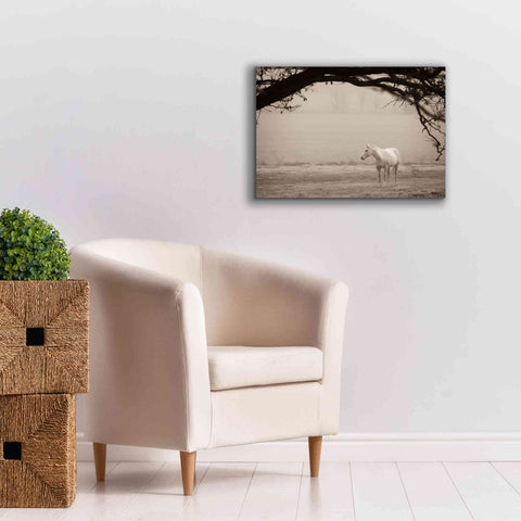 Image of 'Hazy Horse II' by Debra Van Swearingen, Canvas Wall Art,26 x 18
