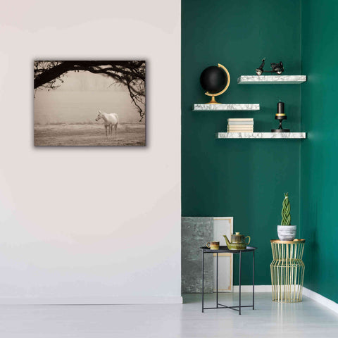 Image of 'Hazy Horse II' by Debra Van Swearingen, Canvas Wall Art,34 x 26