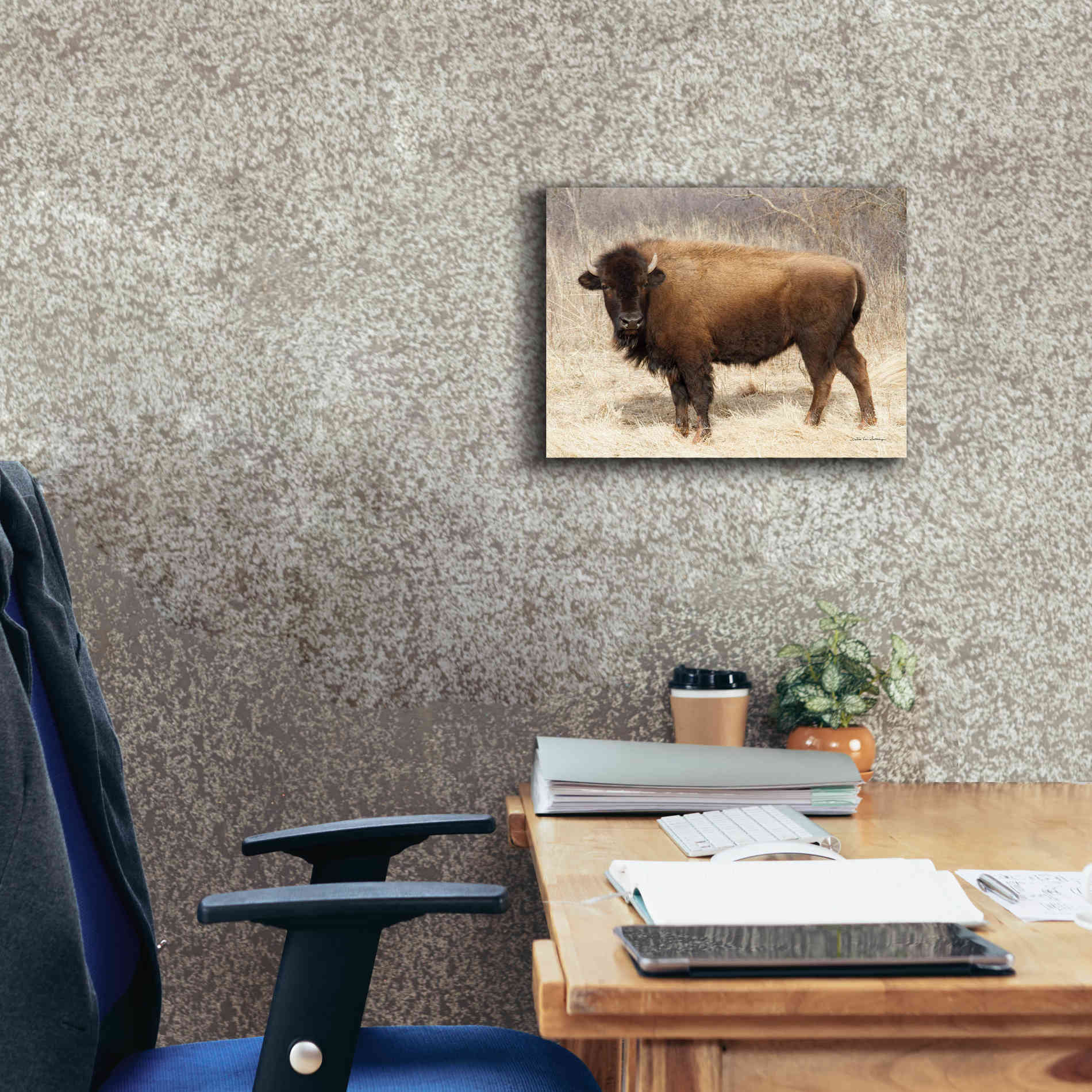 'American Bison I' by Debra Van Swearingen, Canvas Wall Art,16 x 12