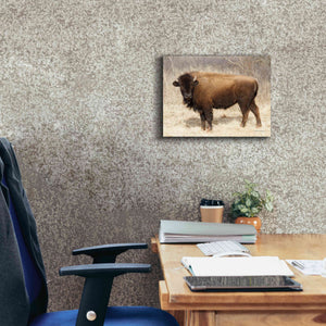 'American Bison I' by Debra Van Swearingen, Canvas Wall Art,16 x 12