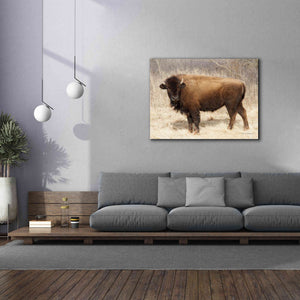 'American Bison I' by Debra Van Swearingen, Canvas Wall Art,54 x 40