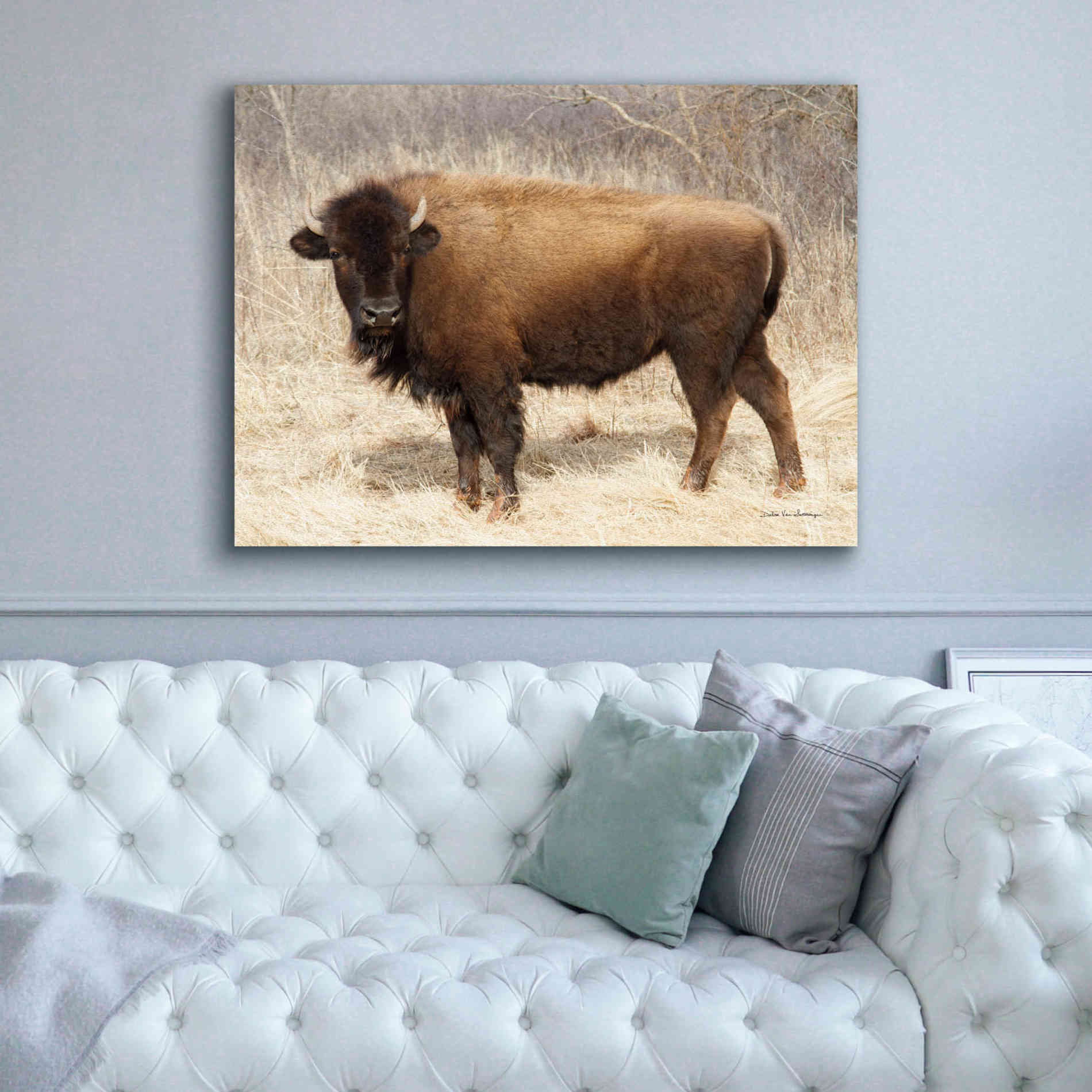 'American Bison I' by Debra Van Swearingen, Canvas Wall Art,54 x 40