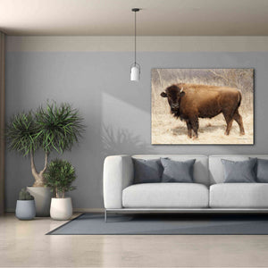 'American Bison I' by Debra Van Swearingen, Canvas Wall Art,54 x 40