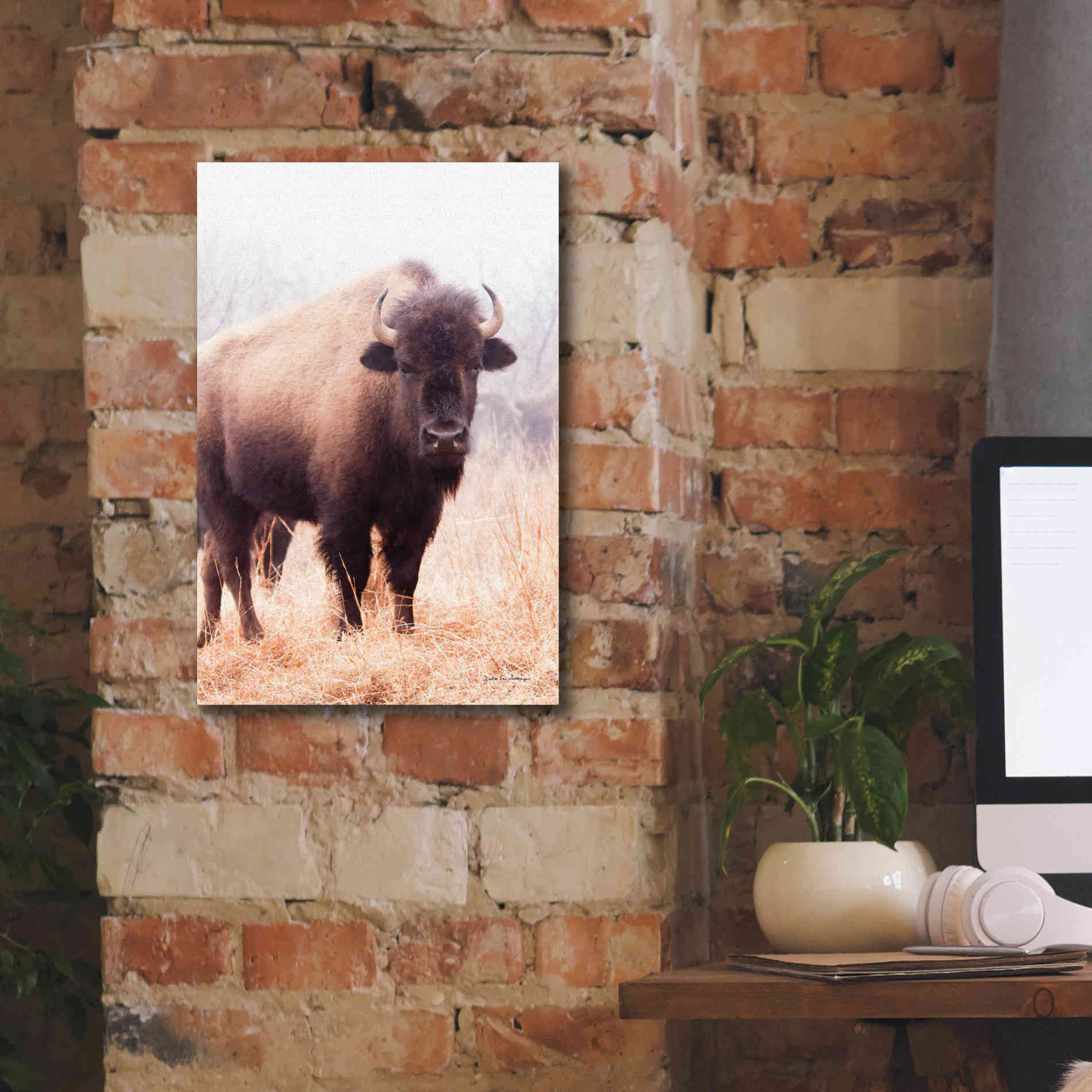 'American Bison V' by Debra Van Swearingen, Canvas Wall Art,12 x 18