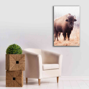 'American Bison V' by Debra Van Swearingen, Canvas Wall Art,26 x 40