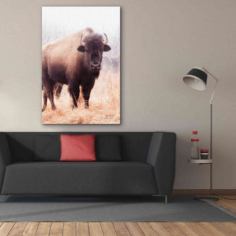 Image of 'American Bison V' by Debra Van Swearingen, Canvas Wall Art,40 x 60