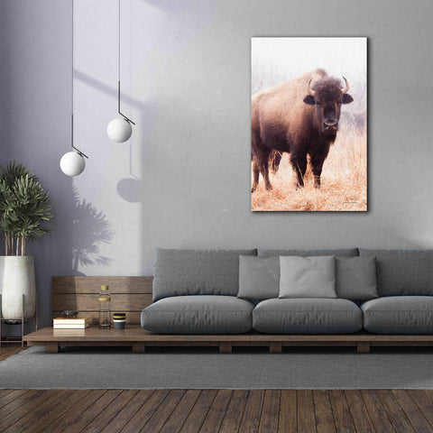 Image of 'American Bison V' by Debra Van Swearingen, Canvas Wall Art,40 x 60