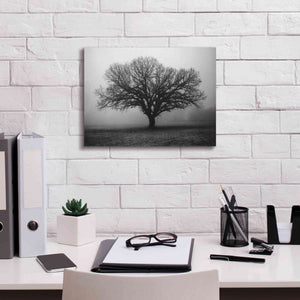 'Evening Mist' by Debra Van Swearingen, Canvas Wall Art,16 x 12