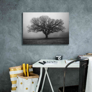 'Evening Mist' by Debra Van Swearingen, Canvas Wall Art,26 x 18