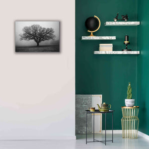 'Evening Mist' by Debra Van Swearingen, Canvas Wall Art,26 x 18