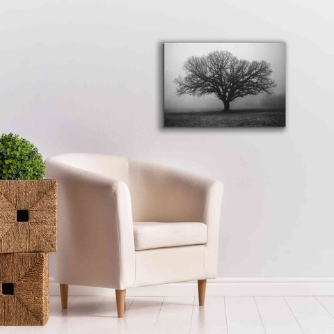 Image of 'Evening Mist' by Debra Van Swearingen, Canvas Wall Art,26 x 18