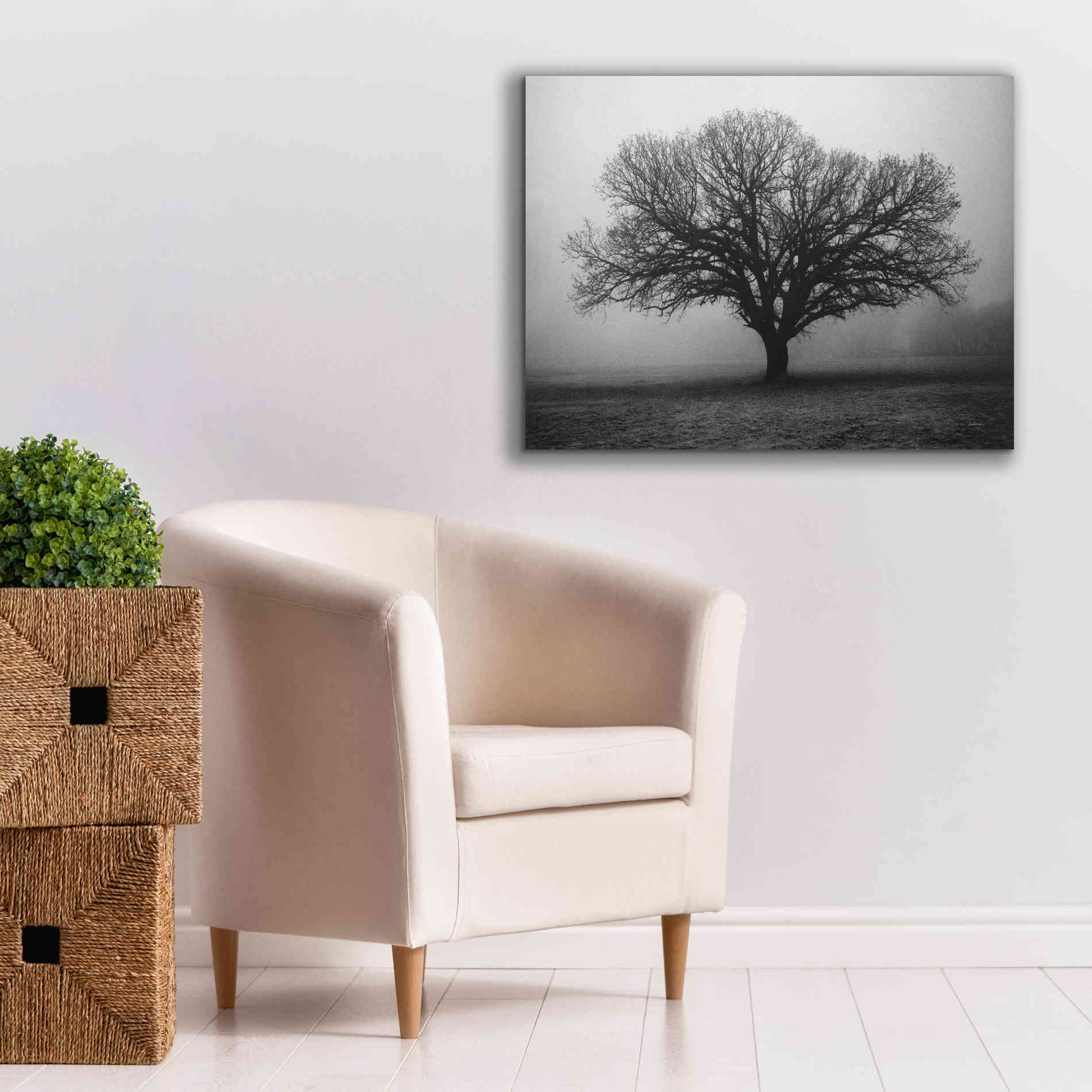 'Evening Mist' by Debra Van Swearingen, Canvas Wall Art,34 x 26