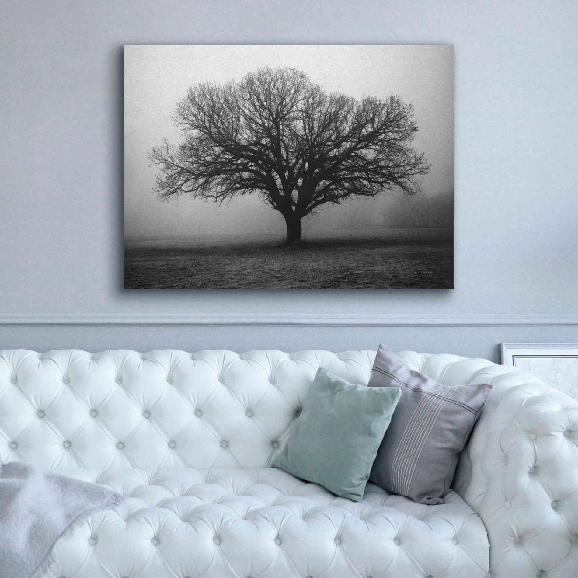 'Evening Mist' by Debra Van Swearingen, Canvas Wall Art,54 x 40