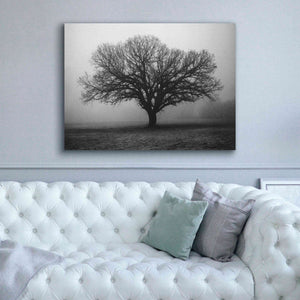 'Evening Mist' by Debra Van Swearingen, Canvas Wall Art,54 x 40