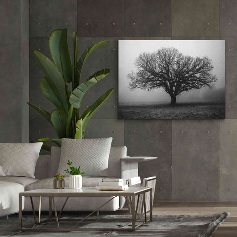 Image of 'Evening Mist' by Debra Van Swearingen, Canvas Wall Art,54 x 40