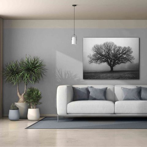 Image of 'Evening Mist' by Debra Van Swearingen, Canvas Wall Art,54 x 40