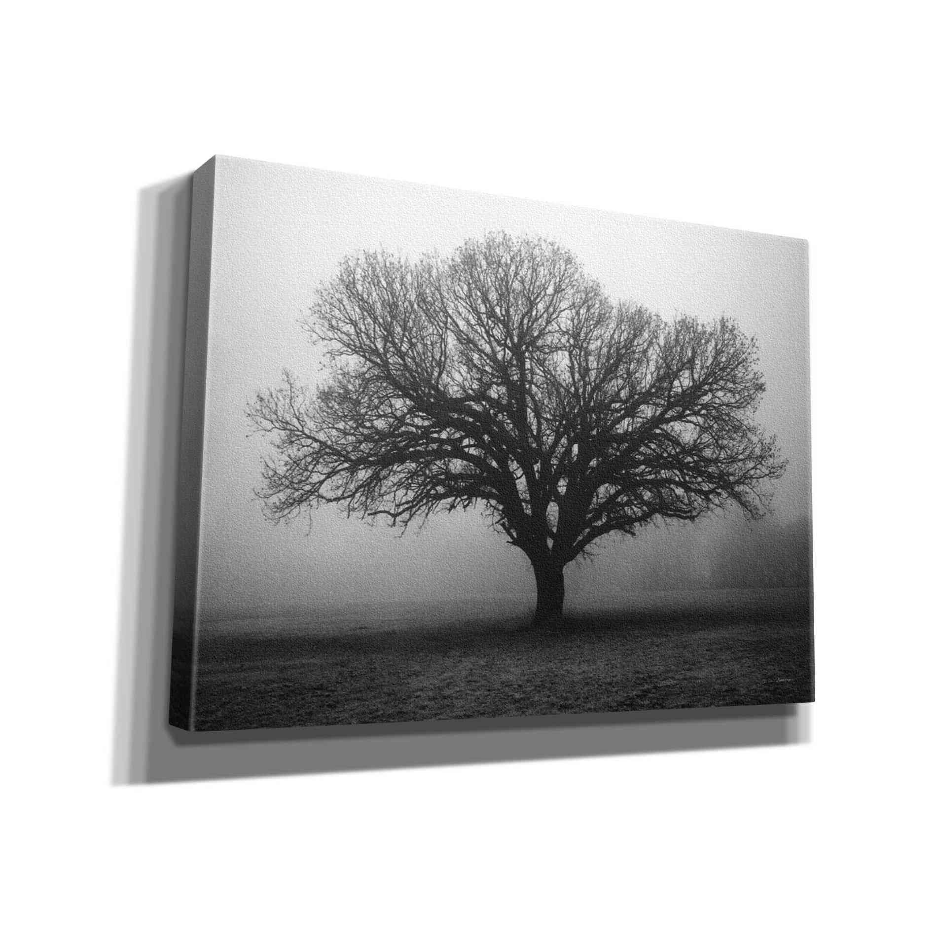 'Evening Mist' by Debra Van Swearingen, Canvas Wall Art,16x12x1.1x0,26x18x1.1x0,34x26x1.74x0,54x40x1.74x0