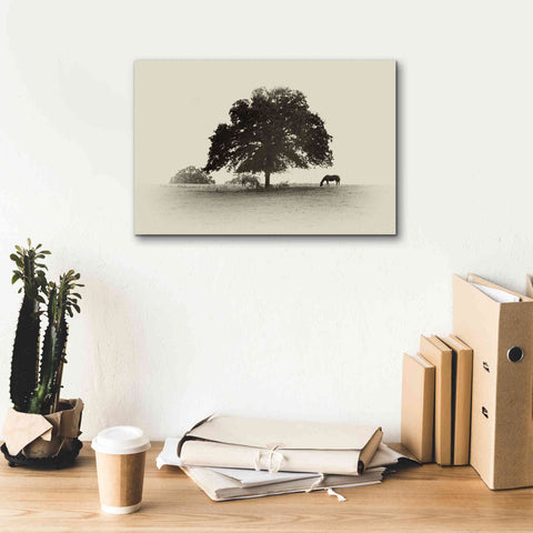 Image of 'Horses and Trees I' by Debra Van Swearingen, Canvas Wall Art,18 x 12