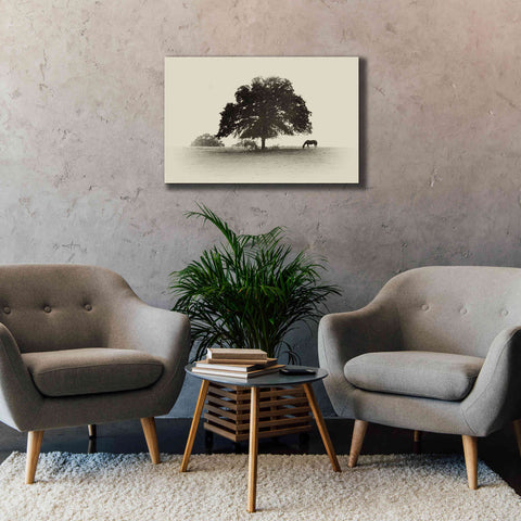 Image of 'Horses and Trees I' by Debra Van Swearingen, Canvas Wall Art,40 x 26