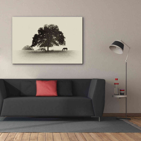 Image of 'Horses and Trees I' by Debra Van Swearingen, Canvas Wall Art,60 x 40
