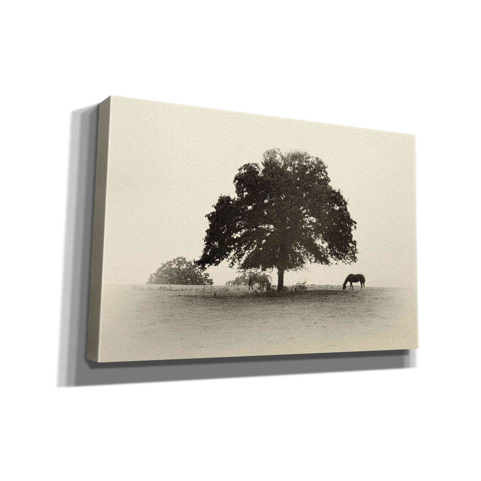 'Horses and Trees I' by Debra Van Swearingen, Canvas Wall Art,18x12x1.1x0,26x18x1.1x0,40x26x1.74x0,60x40x1.74x0