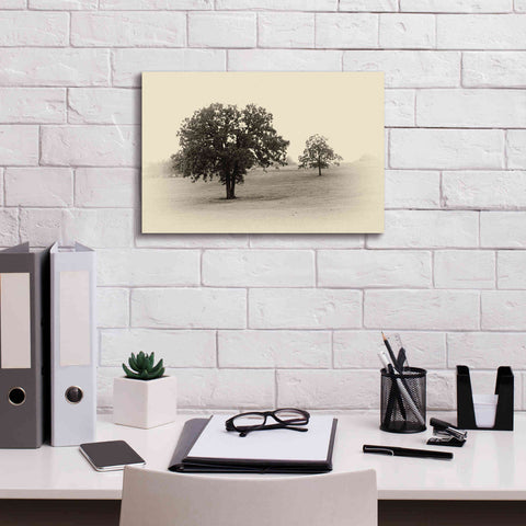 Image of 'Horses and Trees II' by Debra Van Swearingen, Canvas Wall Art,18 x 12