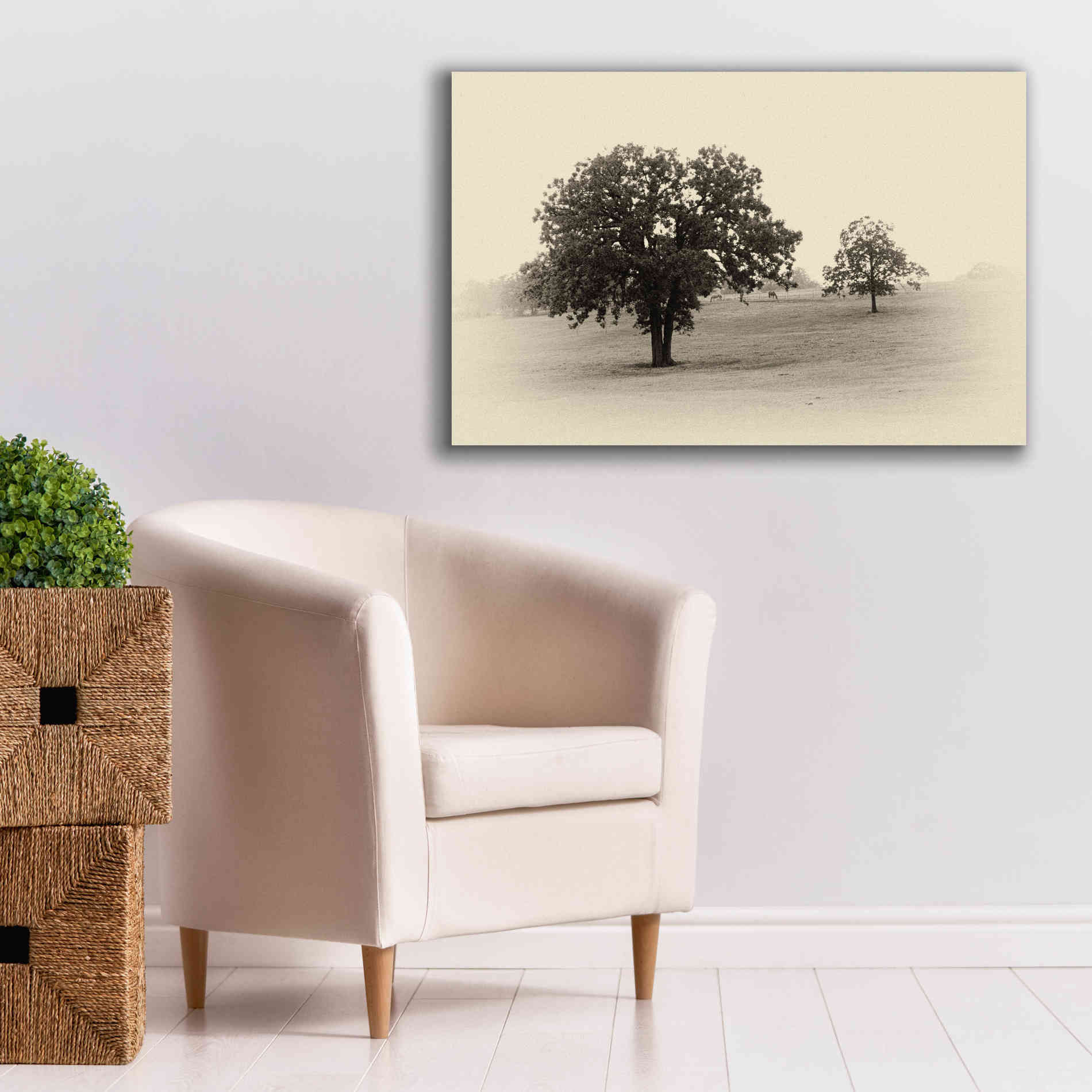 'Horses and Trees II' by Debra Van Swearingen, Canvas Wall Art,40 x 26