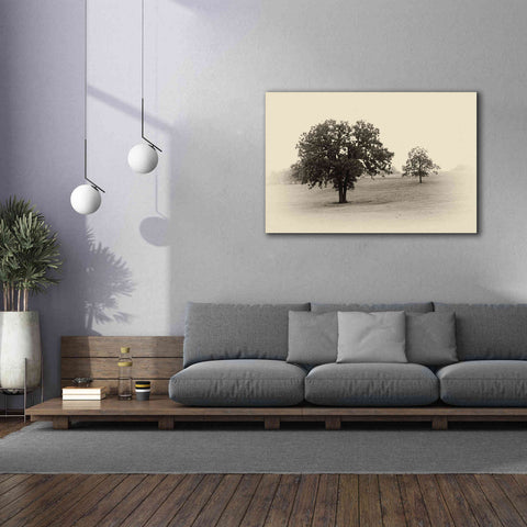 Image of 'Horses and Trees II' by Debra Van Swearingen, Canvas Wall Art,60 x 40