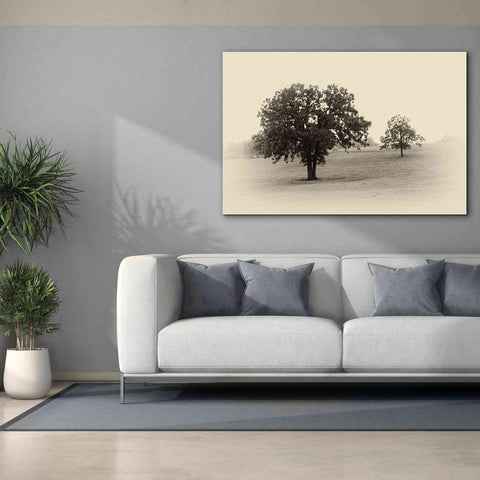 Image of 'Horses and Trees II' by Debra Van Swearingen, Canvas Wall Art,60 x 40
