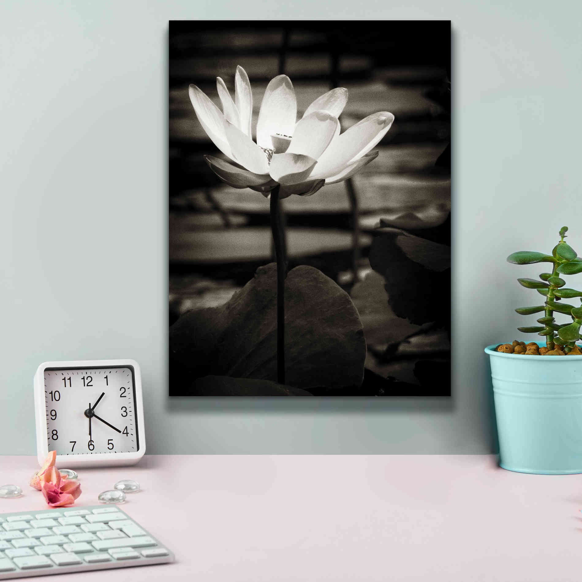 'Lotus Flower VIII' by Debra Van Swearingen, Canvas Wall Art,12 x 16