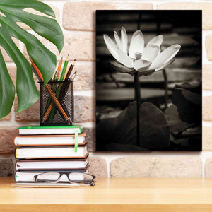 'Lotus Flower VIII' by Debra Van Swearingen, Canvas Wall Art,12 x 16