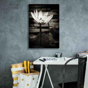 'Lotus Flower VIII' by Debra Van Swearingen, Canvas Wall Art,18 x 26
