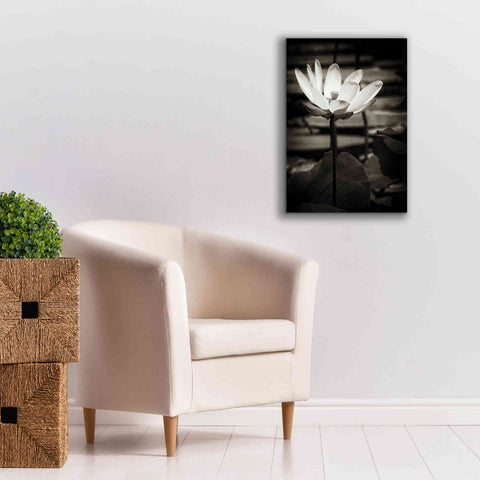 Image of 'Lotus Flower VIII' by Debra Van Swearingen, Canvas Wall Art,18 x 26