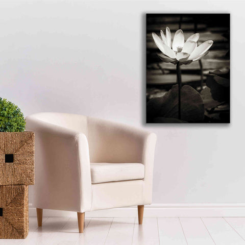 Image of 'Lotus Flower VIII' by Debra Van Swearingen, Canvas Wall Art,26 x 34