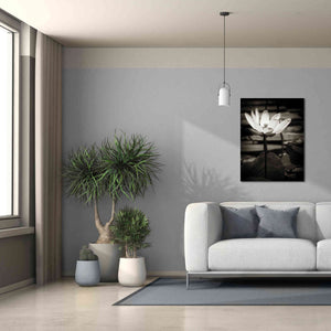 'Lotus Flower VIII' by Debra Van Swearingen, Canvas Wall Art,26 x 34