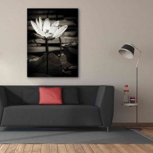 'Lotus Flower VIII' by Debra Van Swearingen, Canvas Wall Art,40 x 54