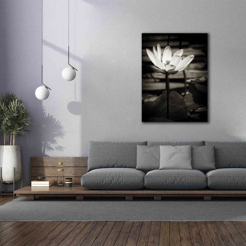 Image of 'Lotus Flower VIII' by Debra Van Swearingen, Canvas Wall Art,40 x 54