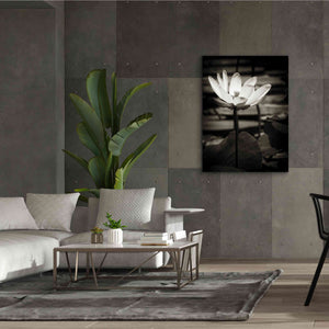 'Lotus Flower VIII' by Debra Van Swearingen, Canvas Wall Art,40 x 54