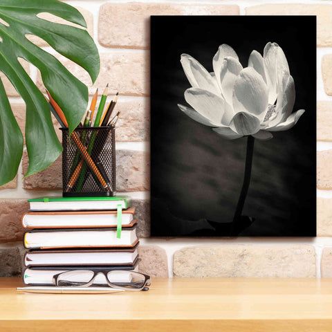 Image of 'Lotus Flower X' by Debra Van Swearingen, Canvas Wall Art,12 x 16