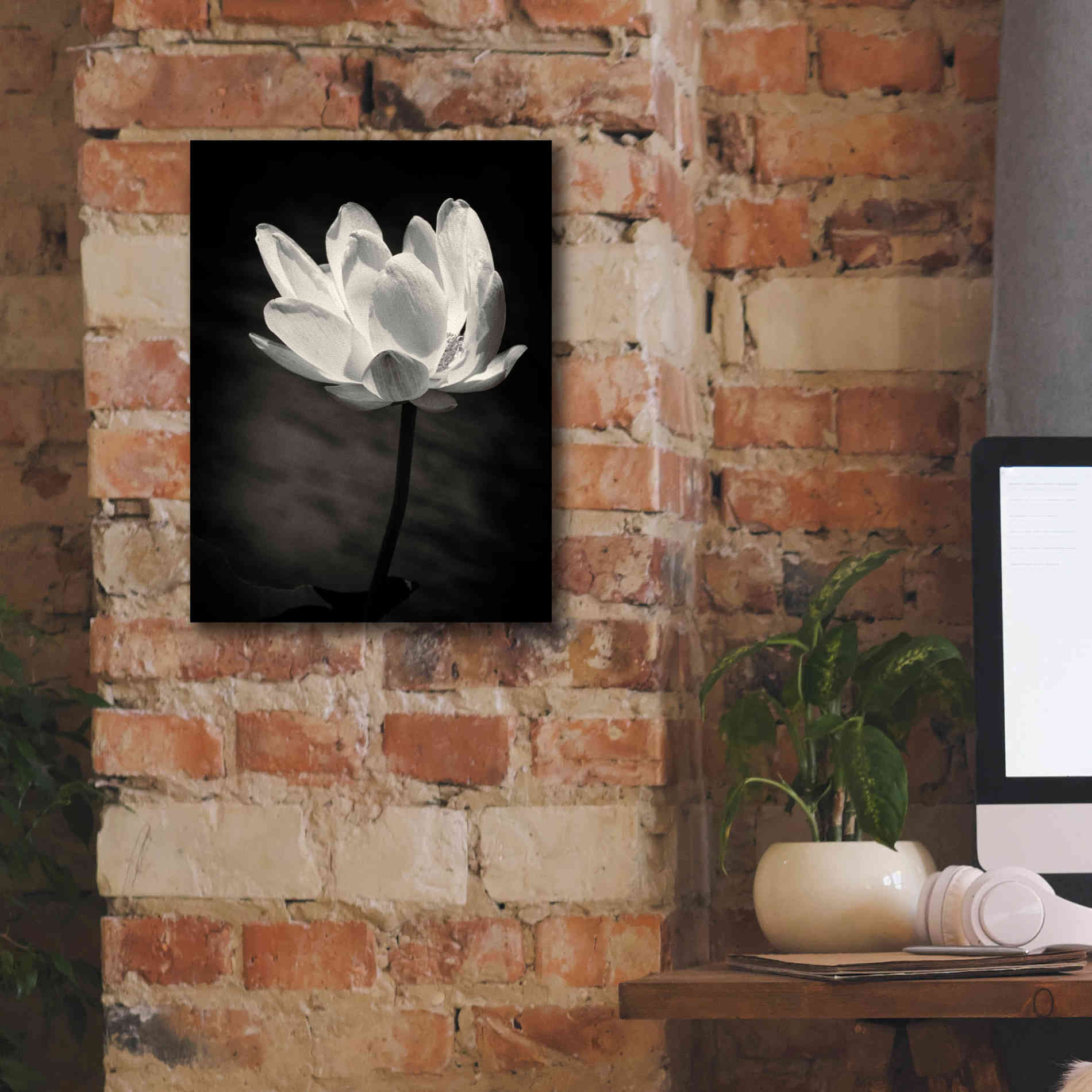 'Lotus Flower X' by Debra Van Swearingen, Canvas Wall Art,12 x 16