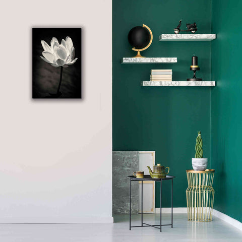 Image of 'Lotus Flower X' by Debra Van Swearingen, Canvas Wall Art,18 x 26