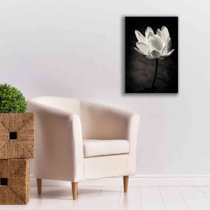 'Lotus Flower X' by Debra Van Swearingen, Canvas Wall Art,18 x 26