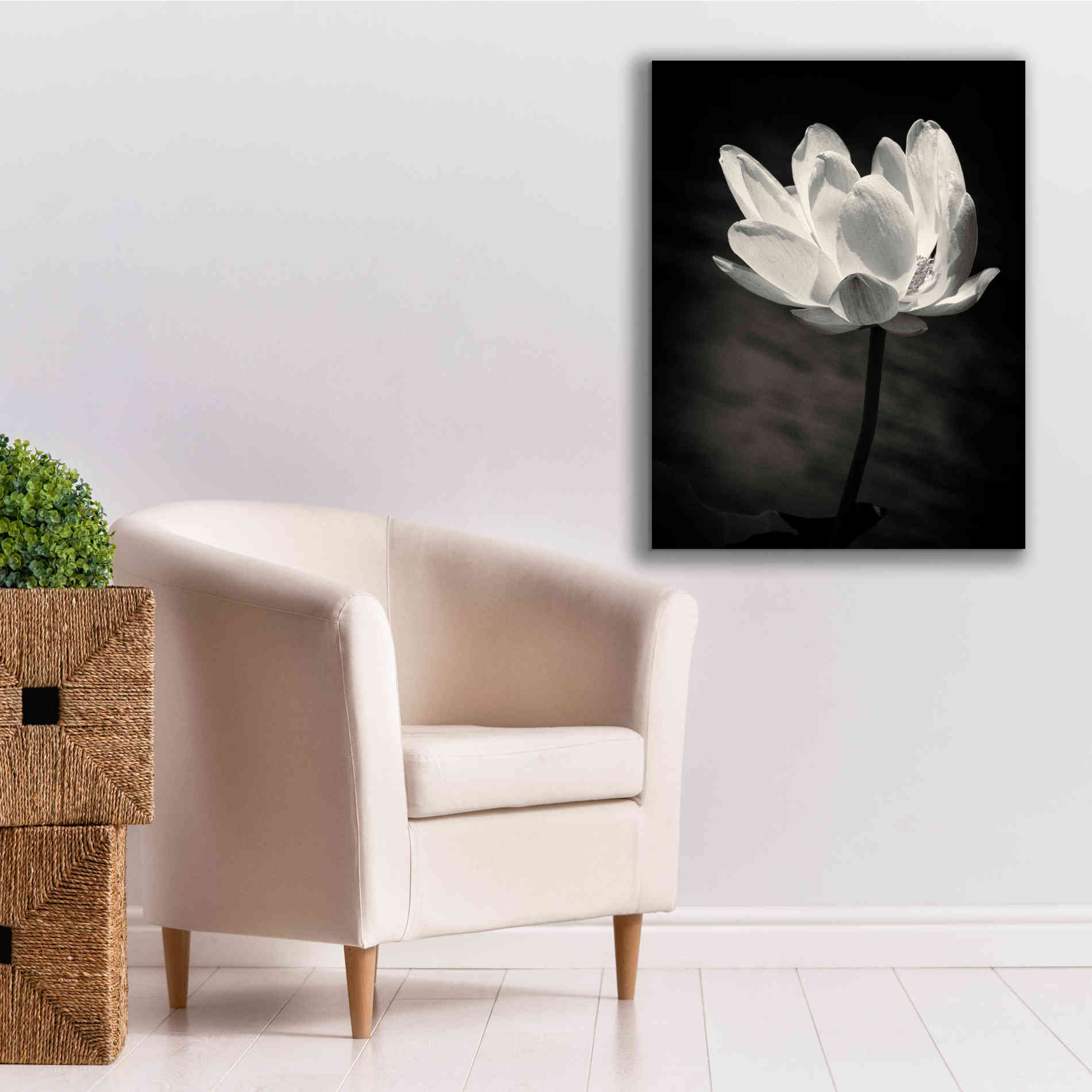 'Lotus Flower X' by Debra Van Swearingen, Canvas Wall Art,26 x 34