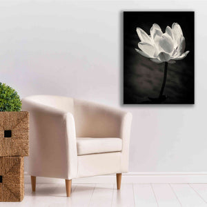 'Lotus Flower X' by Debra Van Swearingen, Canvas Wall Art,26 x 34