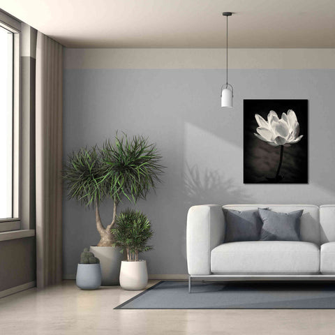 Image of 'Lotus Flower X' by Debra Van Swearingen, Canvas Wall Art,26 x 34