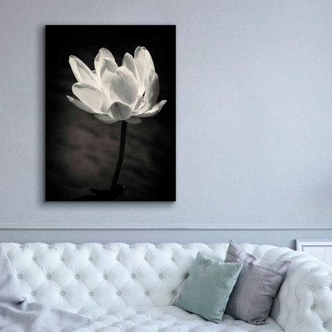 Image of 'Lotus Flower X' by Debra Van Swearingen, Canvas Wall Art,40 x 54