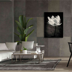 'Lotus Flower X' by Debra Van Swearingen, Canvas Wall Art,40 x 54