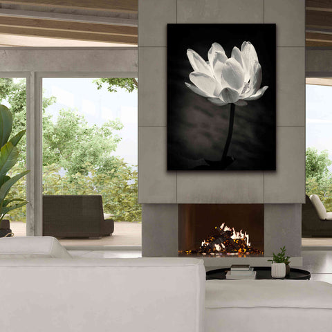 Image of 'Lotus Flower X' by Debra Van Swearingen, Canvas Wall Art,40 x 54