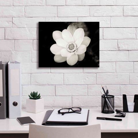 Image of 'Lotus Flower III' by Debra Van Swearingen, Canvas Wall Art,16 x 12